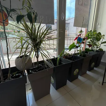 Amor_bookstore Durrës